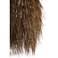 Light & Living Hanglamp Ø54x74 cm ARISCO rotan donker bruin