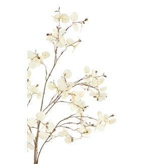 Light & Living Kunstbloem 30x10x118 cm EUCALYPTO crème