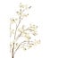 Light & Living Kunstbloem 30x10x118 cm EUCALYPTO crème