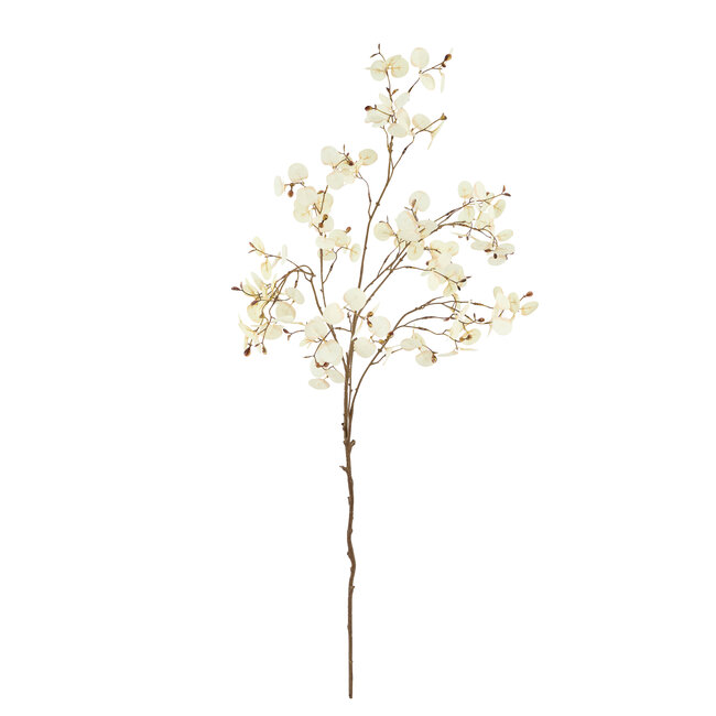 Light & Living Kunstbloem 30x10x118 cm EUCALYPTO crème