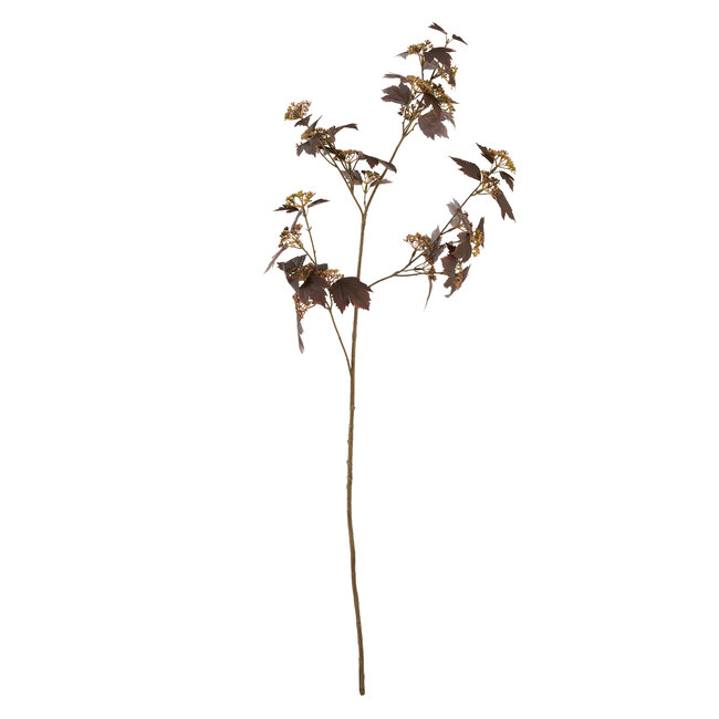 Light & Living Kunstbloem 20x10x110 cm MAPLE bordeaux-donker bruin