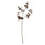 Light & Living Kunstbloem 20x10x110 cm MAPLE bordeaux-donker bruin