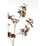 Light & Living Kunstbloem 20x10x110 cm MAPLE bordeaux-donker bruin