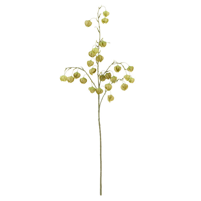 Light & Living Kunstbloem 20x10x100 cm PHYSALIS licht groen
