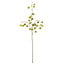 Light & Living Kunstbloem 20x10x100 cm PHYSALIS licht groen