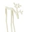 Light & Living Ornament 15x6x25 cm DEER mat crème