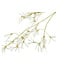 Countryfield Kunstbloem Sparkly Forsythia S wit