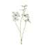 Countryfield Kunstbloem Sparkly Cornus S wit