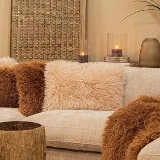 PTMD Kussen Rexx Beige rechthoekig