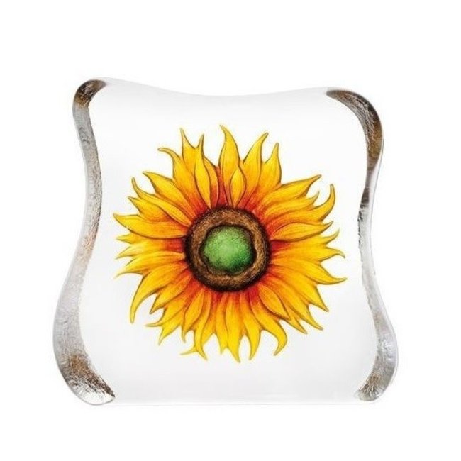 Kristallen zonnebloem