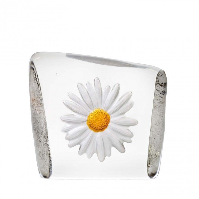 Robert Ljubez Madeliefje