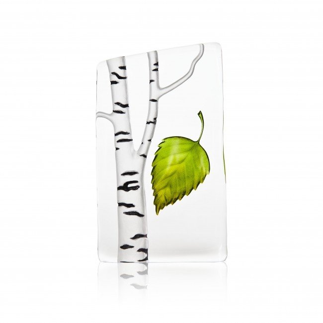 Robert Ljubez berkenboom