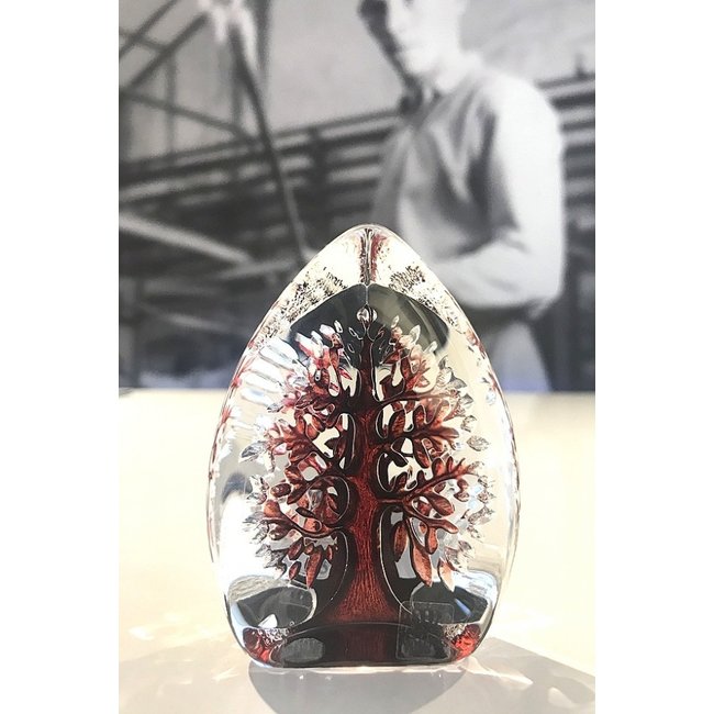 Mats Jonasson Family tree