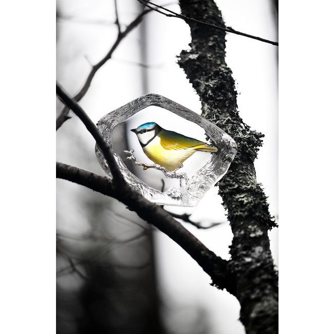 Prachtige Pimpelmees in Kristal Ontworpen door Mats Jonasson, Zweden