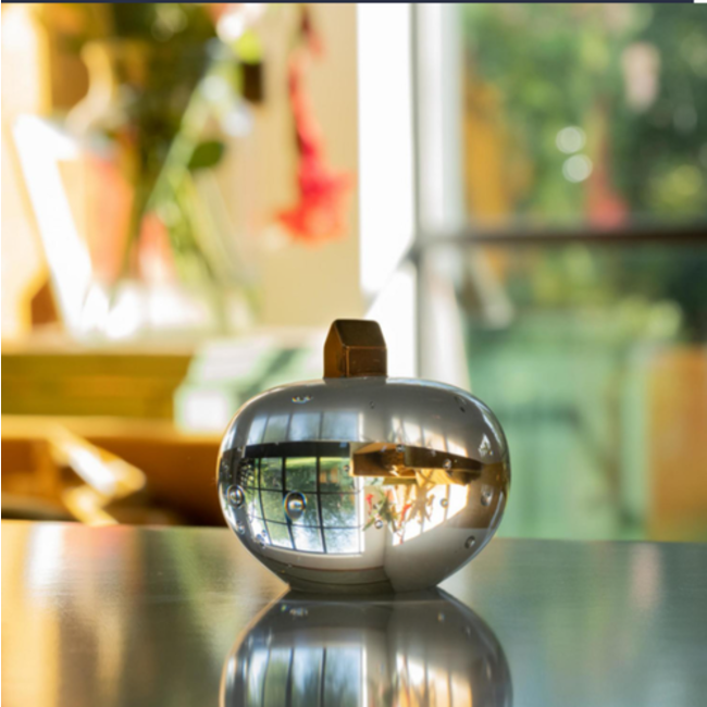 Bertil Vallien  Kosta Boda Earth on Top