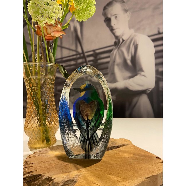 Bunter Glasvogel von Mats Jonasson