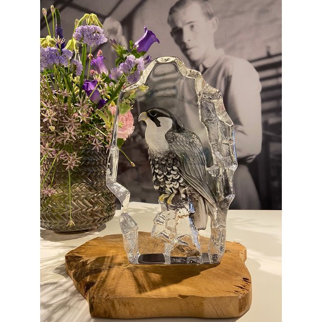 Mats Jonasson „Falke“