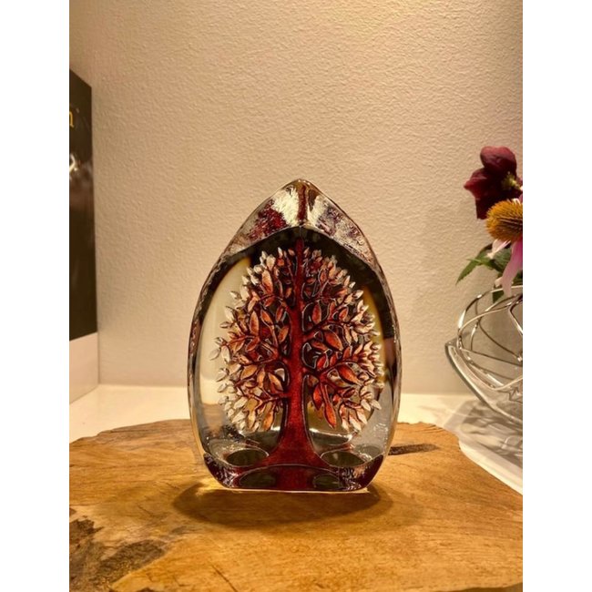 Mats Jonasson Levensboom