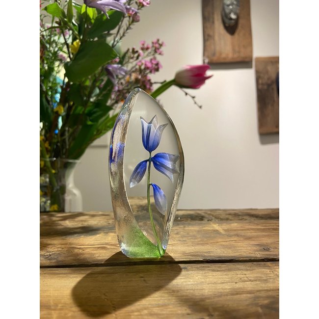 Mats Jonasson „Glockenblume“