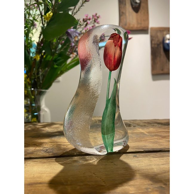 Mats Jonasson rode tulp