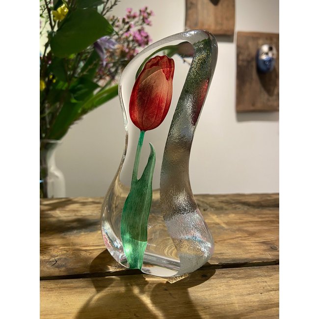 Mats Jonasson rode tulp