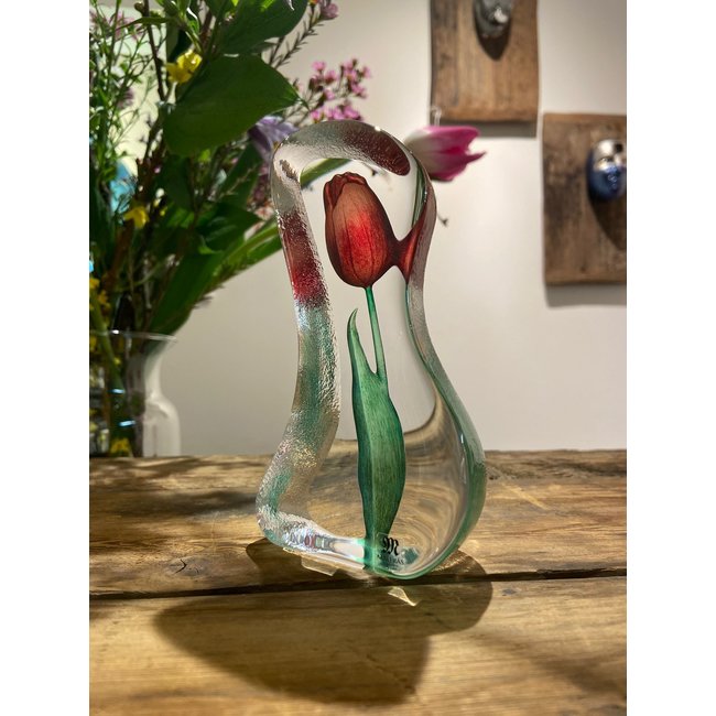 Mats Jonasson rode tulp