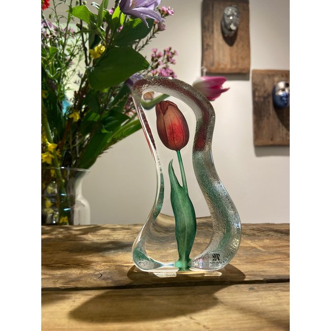 Mats Jonasson rode tulp