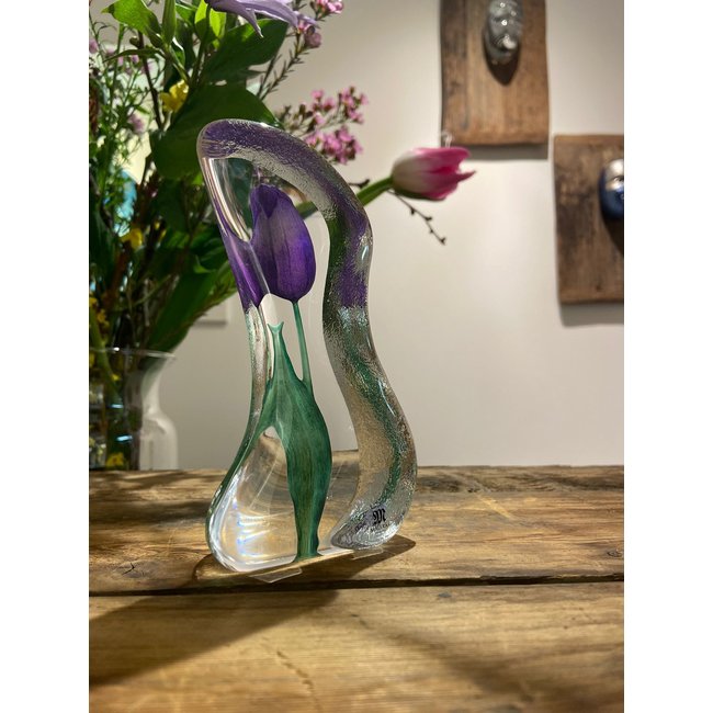 Mats Jonasson paarse Tulp