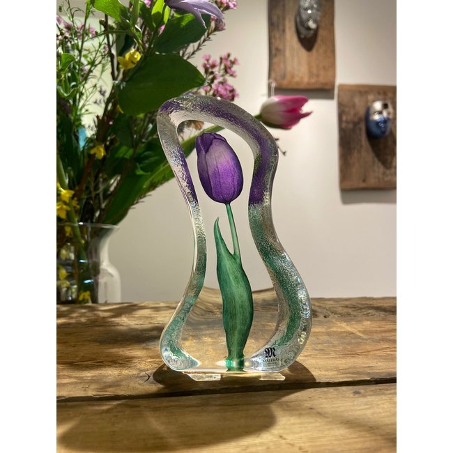 Mats Jonasson paarse Tulp