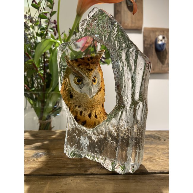 Mats Jonasson uil van zuiver kristal