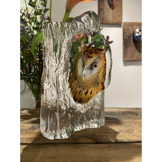 Mats Jonasson uil van zuiver kristal