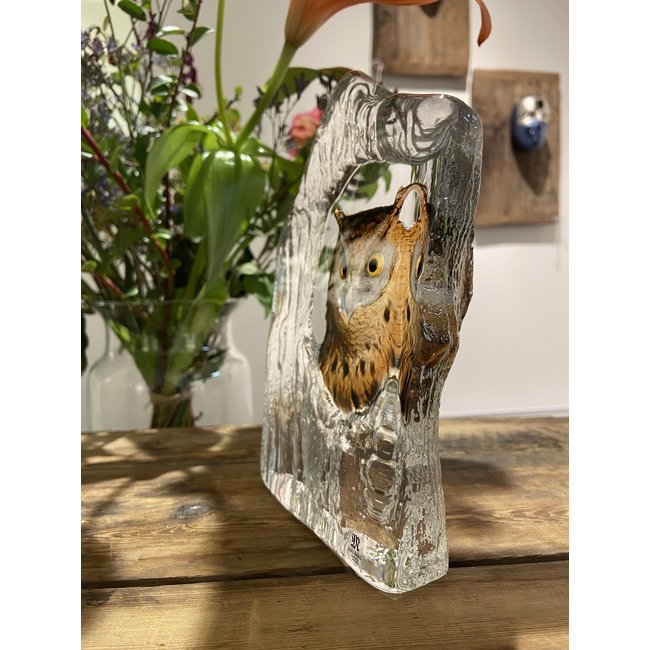 Mats Jonasson uil van zuiver kristal