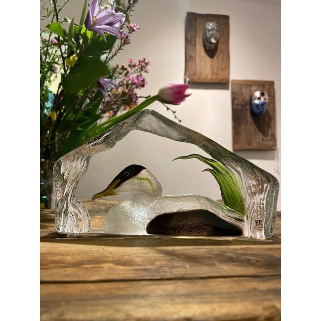 Mats Jonasson „Eiderente“