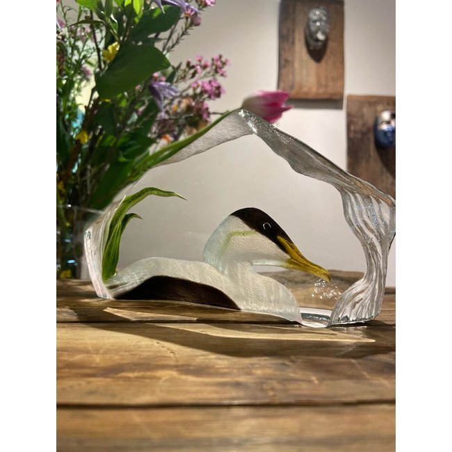 Mats Jonasson „Eiderente“