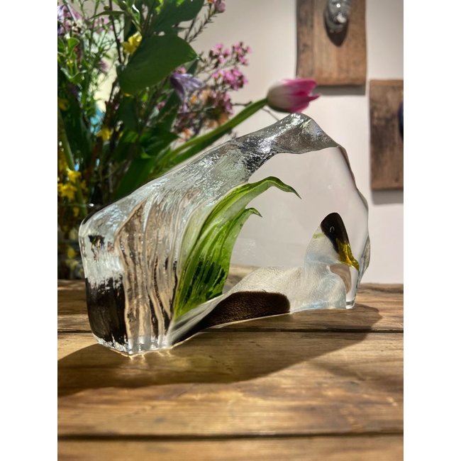 Mats Jonasson „Eiderente“