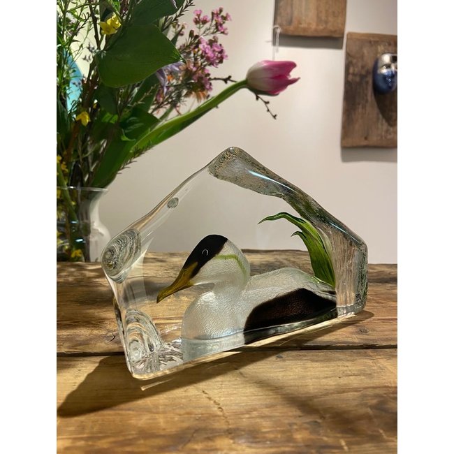 Mats Jonasson „Eiderente“