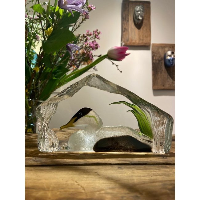 Mats Jonasson eidereend