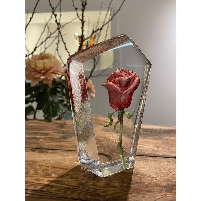 Mats Jonasson roos van zuiver kristal