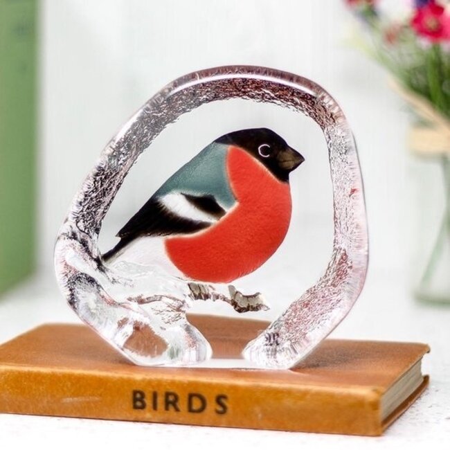 Mats Jonasson „Gimpel“