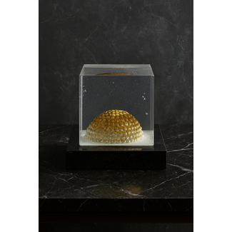 Kosta Boda „Dome“ Limited Edition – Glaskunstwerk von Bertil Vallien