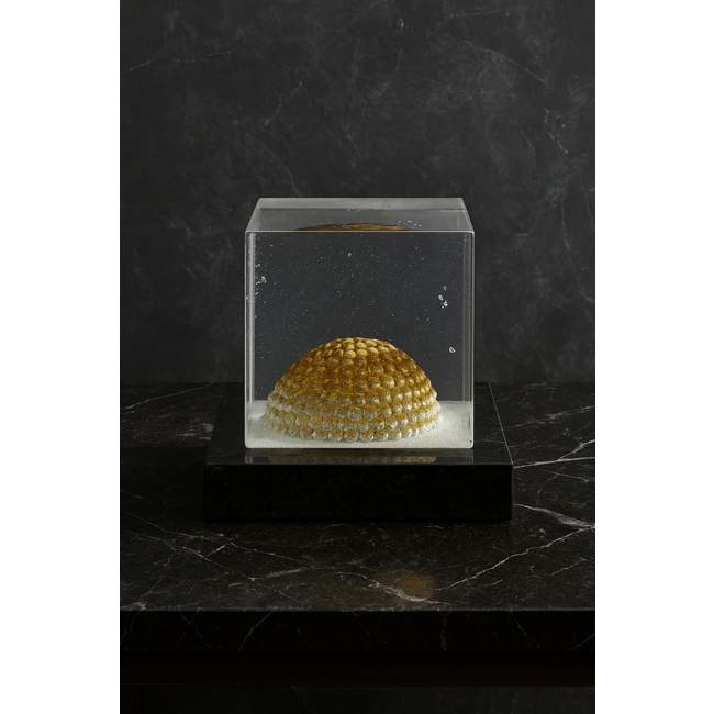 Kosta Boda Dome Limited Edition – Glaskunstwerk door Bertil Vallien