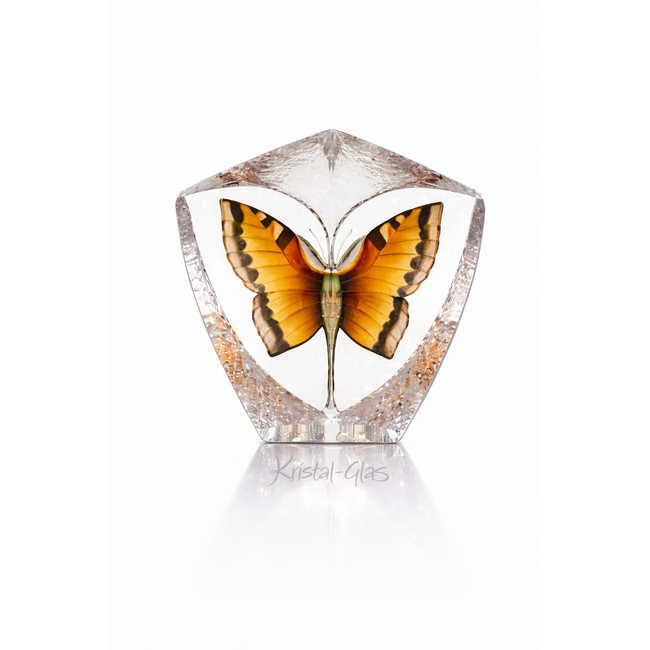 Mats Jonasson orangefarbener Schmetterling