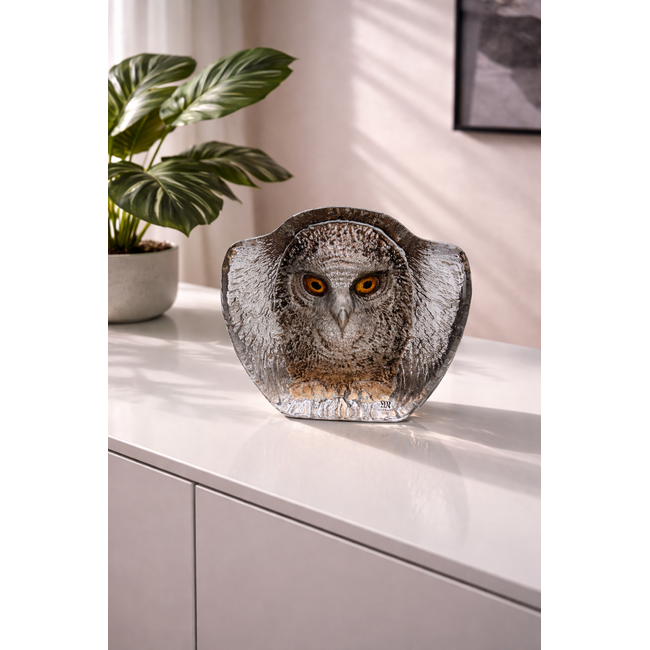 Mats Jonasson uil van zuiver kristal