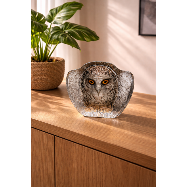 Mats Jonasson uil van zuiver kristal