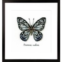 Vervaco telpakket blauwe vlinder 0165403