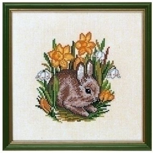 Eva Rosenstand Eva Rosenstand Young hare 12-889