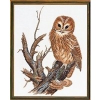 Eva Rosenstand borduurpakket uil 12 677