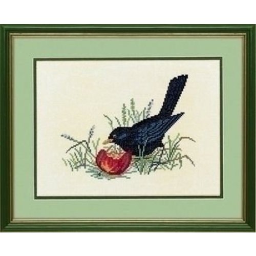 Eva Rosenstand Eva Rosenstand Black bird & apple 12-983