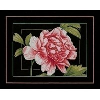 Lanarte Rode Roos 0155749