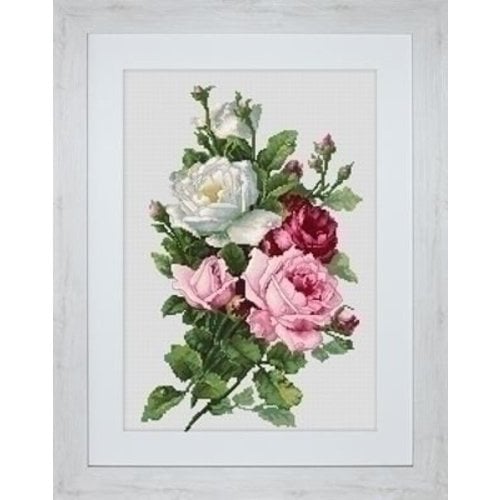 Luca S Luca S Bouquet of Roses B2285